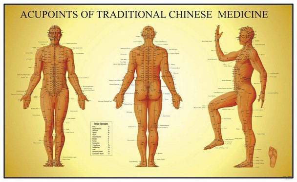 acupuncture chart